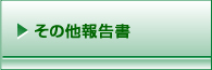 その他報告書
